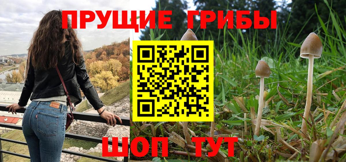 Моздок  Галлюциногенные грибы Psilocybine cubensis  наркошоп  Вход с VPN 